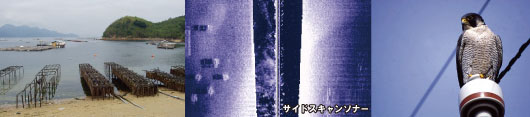 解析(生物調査・測量・施設整備等ハードとの融合